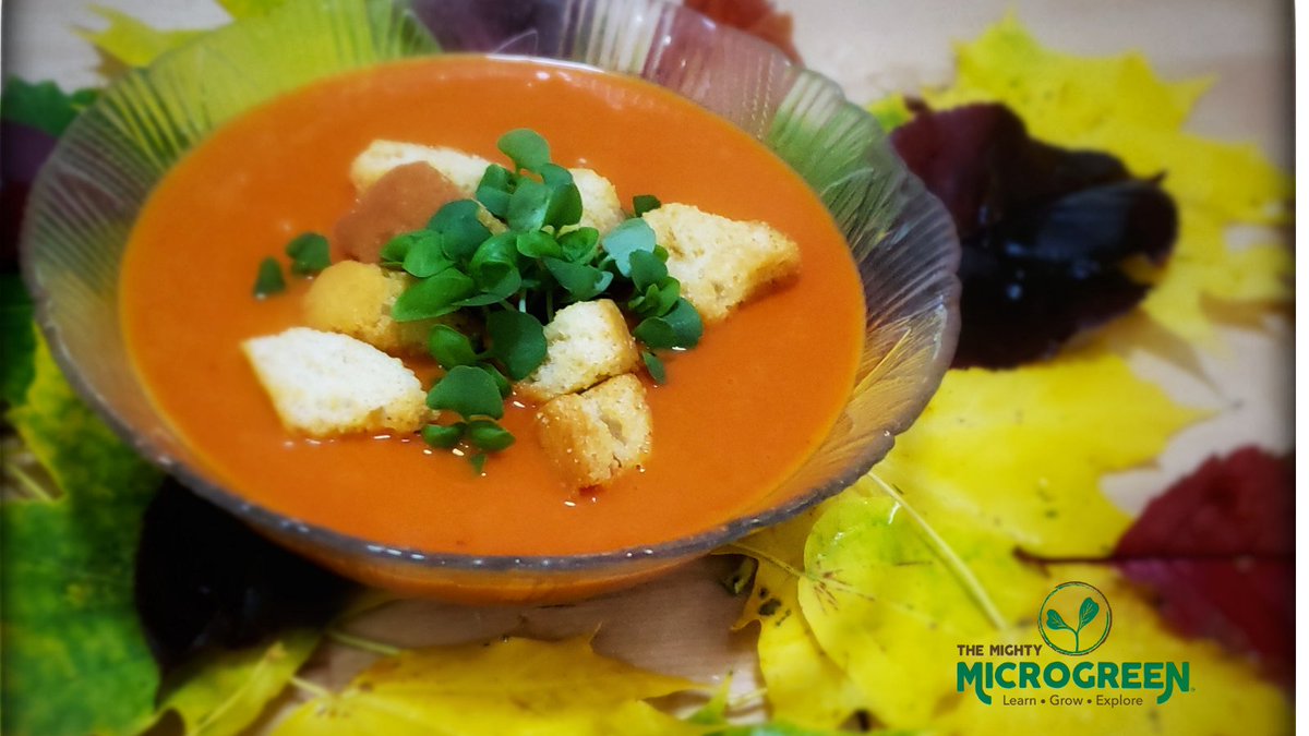 T_M_Microgreen's tweet photo. It seems like a soup kind of day. While working on the Kickstarter (Have you checked it out yet?!) I had a sudden craving for tomato soup with basil. Check out the Kickstarter while your soup is warming! https://t.co/NSFk3YvIfB https://t.co/inJ2rWd80z