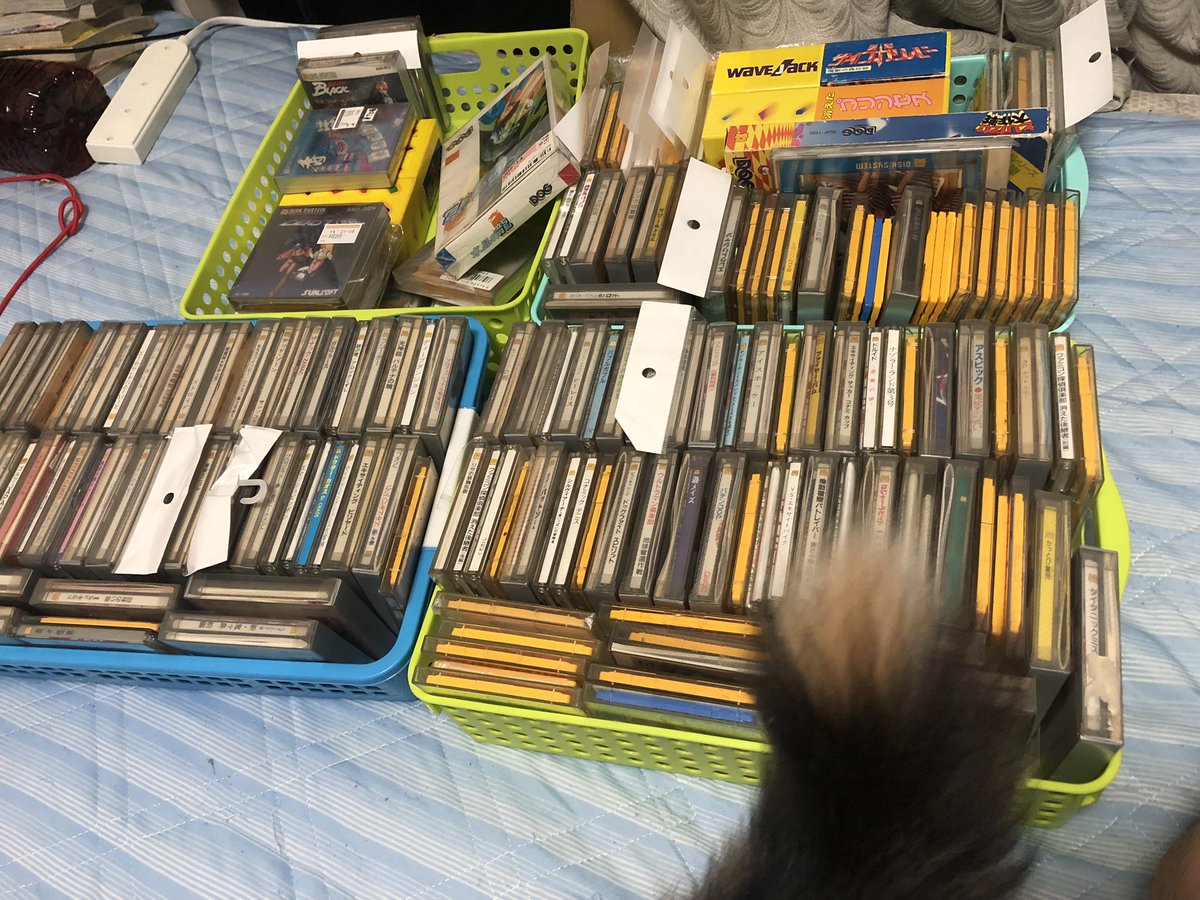 Do9ryu's tweet photo. よし、固定ツイート作り直すぞ！！

はい、レトロゲーム好き、猫好き、ハンドルゲーめちゃ好きなくりゅうさんだよ！！
ゲームのせいで元嫁に捨てられるくらいはゲーム好きです🤣🤣🤣

お暇ならくりゅうさんと遊ぼうぜ〜😚 https://t.co/xAwXJ7afHV