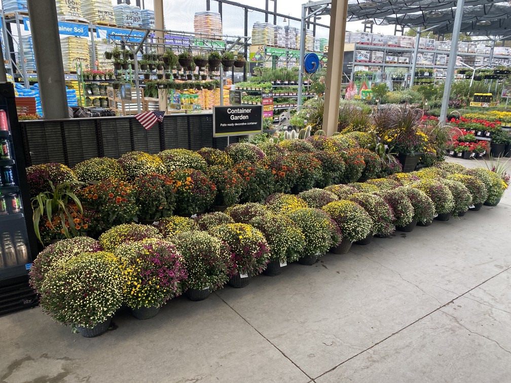 Happy Fall Shoppers in HD Dist. 25 !
