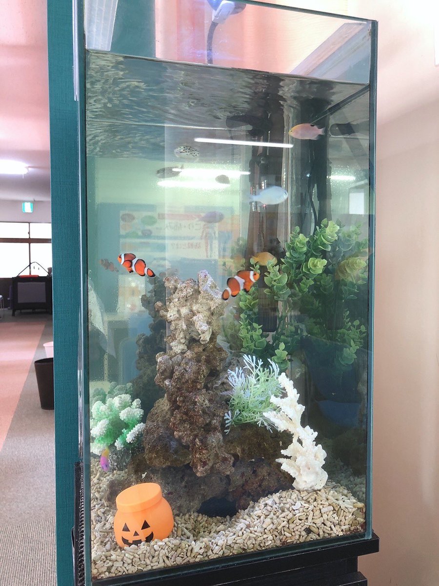 daiichi_chofu tweet picture