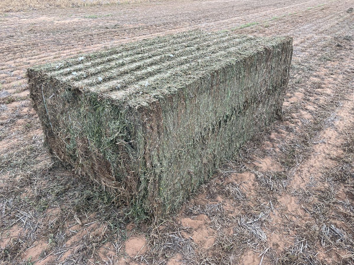 Bit of cool old 80’s gear getting the job done 🚜💨💪🏻🌾😎 <a href="/DMAg_consultant/">Matt Witney</a> <a href="/brettbarker92/">Brett Barker</a> <a href="/JohnDeere/">John Deere USA</a>