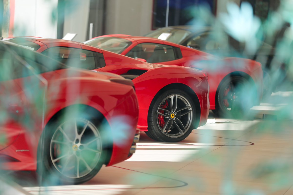 FOClb's tweet photo. The finest #horses in town, waiting to #prance.
.
#FerrariOwnersClubLebanon #FOCL #ScuderiaLebanon #DrivingFerrari #Ferrari #ScuderiaFerrari #FerrariLebanon #Beirut #Lebanon https://t.co/BmgaMKuYil
