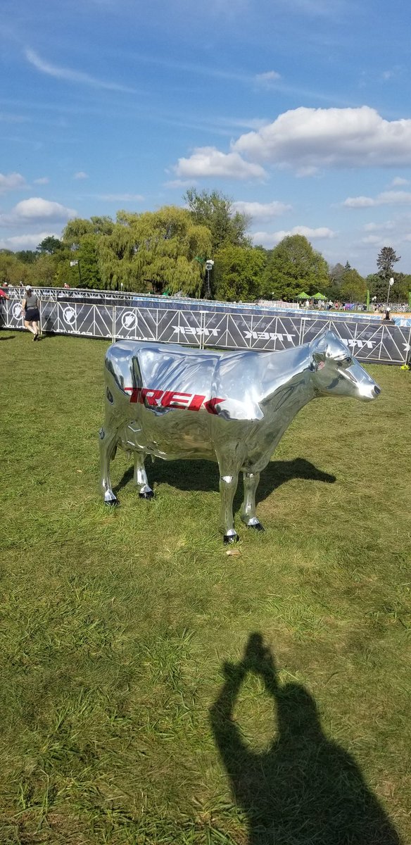 VincentMGee's tweet photo. Chrome milk anyone??? 
#Bicycles #Cycling #Cow #Milk #Dairyland #cyclocross #Worldcup #ProMechanicLife https://t.co/Mrc01bGA9Y