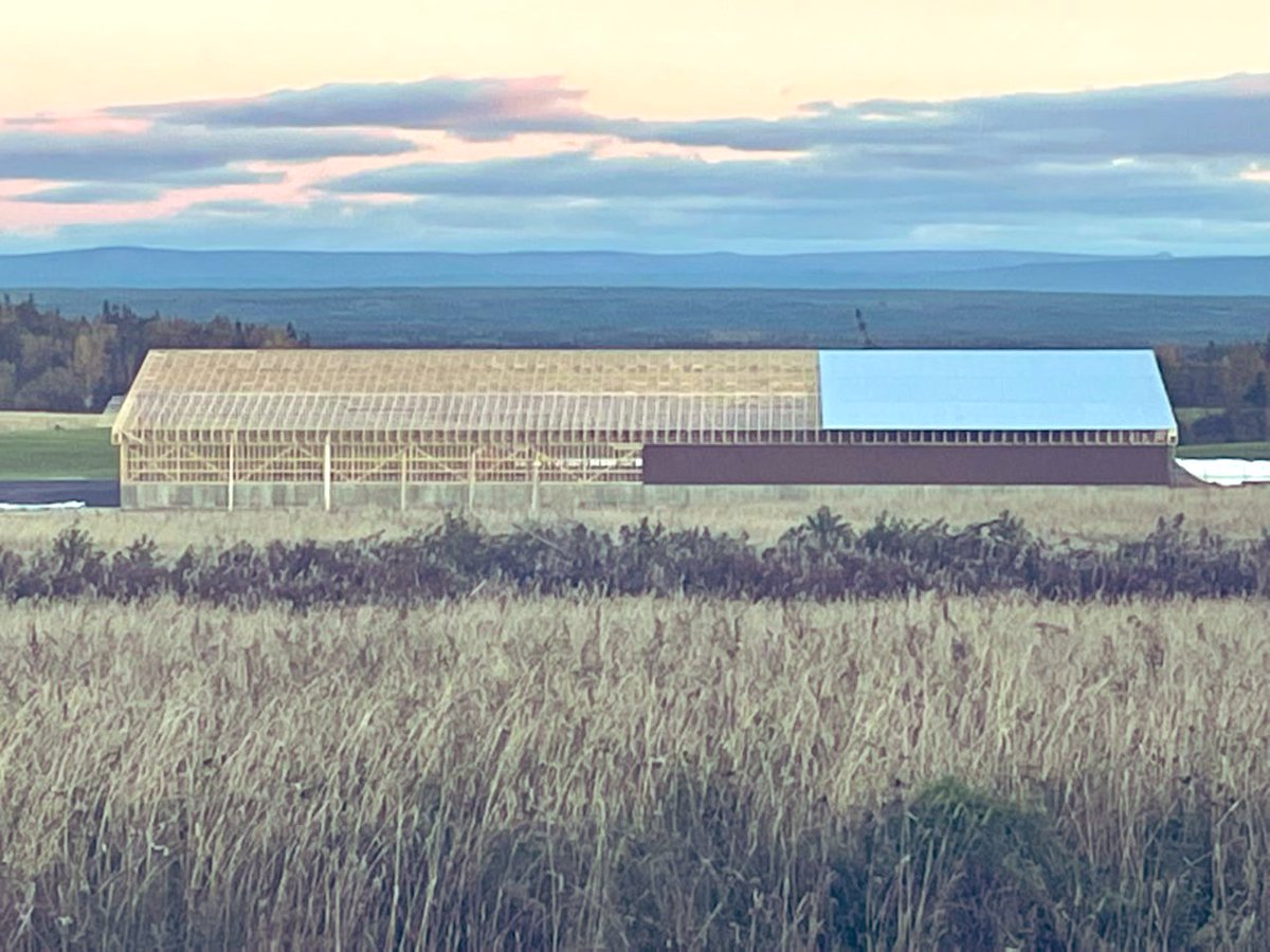 Major progress happening on our new livestock facility. Together we will increase food self-sufficiency in NL 🤠 #nlagriculture <a href="/NLFarms/">NL Federation of Agriculture</a> <a href="/FFA_GovNL/">Fisheries, Forestry and Agriculture NL</a> <a href="/Gudie/">Gudie Hutchings</a> <a href="/PremierofNL/">Premier of NL</a>