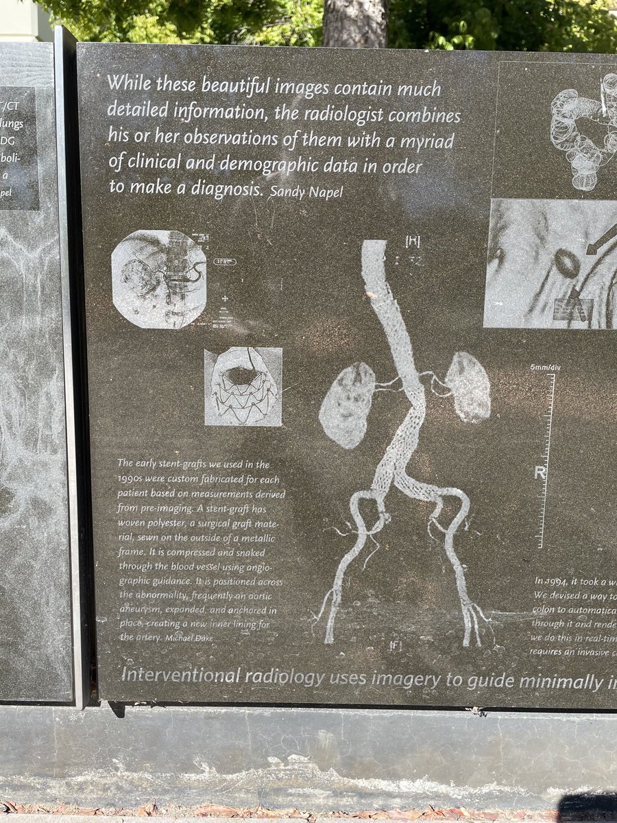 stephmostofi's tweet photo. Walking down memory lane. This walking path is my favorite at Stanford because it’s is etched with a history of medicine. The campus has changed a lot in 8 years, but I hope they never change this. #BacktotheFarm #vampireclub #hemecrew https://t.co/sS9LmjARuu