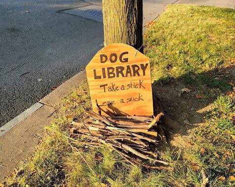 Lisa Nash tweet media