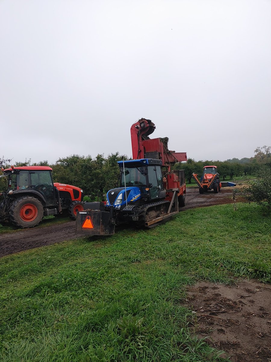 Juice harvest 2021... <a href="/BrettSchuyler/">Brett Schuyler</a> <a href="/davepethman/">Dave P</a>