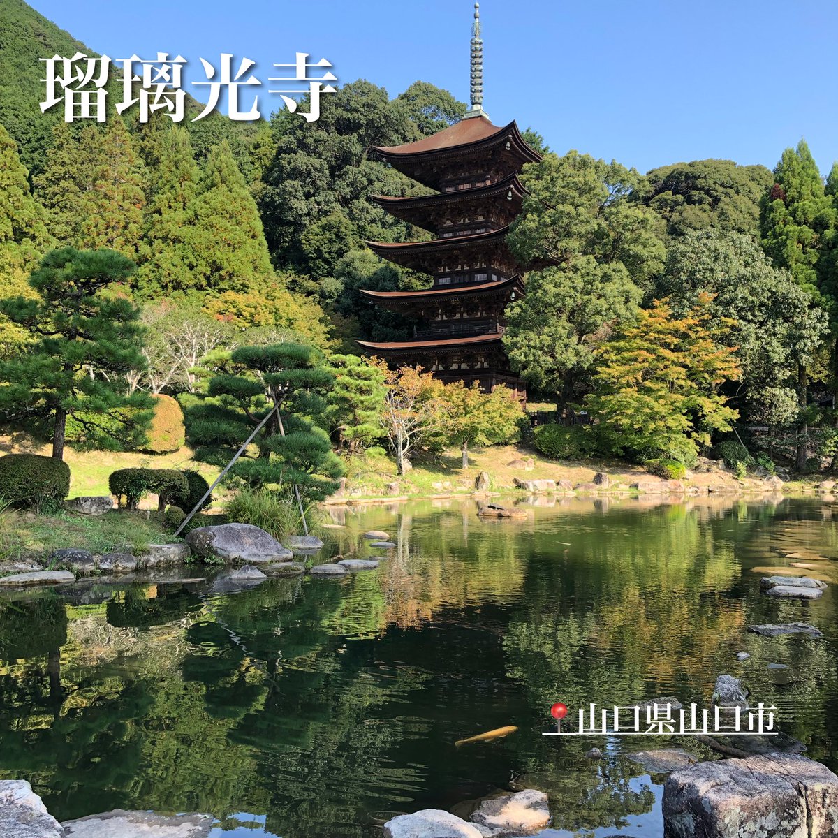 おいでませ山口ちゃんねる S Tweet 山口県山口市 瑠璃光寺 山口県が誇る国宝 紅葉も少しずつ見られはじめています 山口観光 山口旅行 瑠璃光寺五重塔 香川公園 Yamaguchi 山口ドライブ ドライブデート ドライブ Temple 山口お出かけ 山口観光 おいでませ山口ちゃんねる S Tweet 山口県山口市 瑠璃光寺 山口県が誇る国宝 紅葉も少しずつ見られはじめています 山口観光 山口旅行 瑠璃光寺五重塔 香川公園 Yamaguchi 山口ドライブ ドライブデート ドライブ Temple 山口お出かけ 山口観光