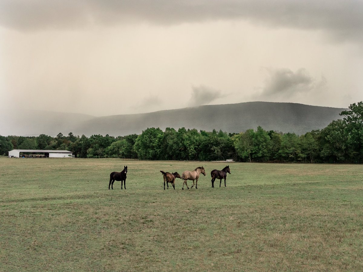 Brave the storm… you have to…