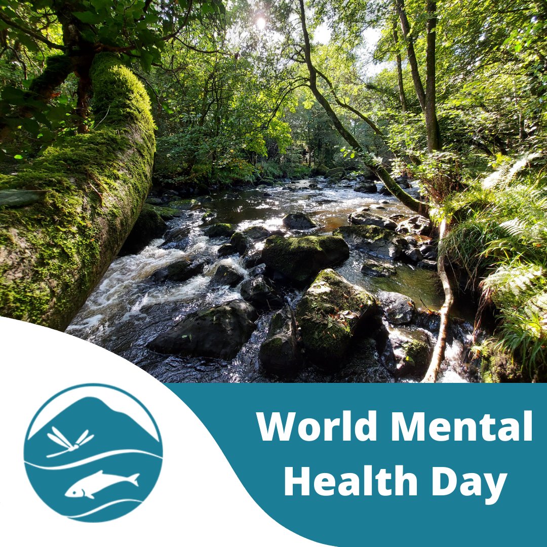 World Mental Health Day - Sunday 10th October 2021

River habitats provide such wellness opportunities. We hope you continue to enjoy the mental health benefits provided by the Ballinderry River this #WorldMentalHealthDay 

#BallinderryRiversTrust #naturetherapy