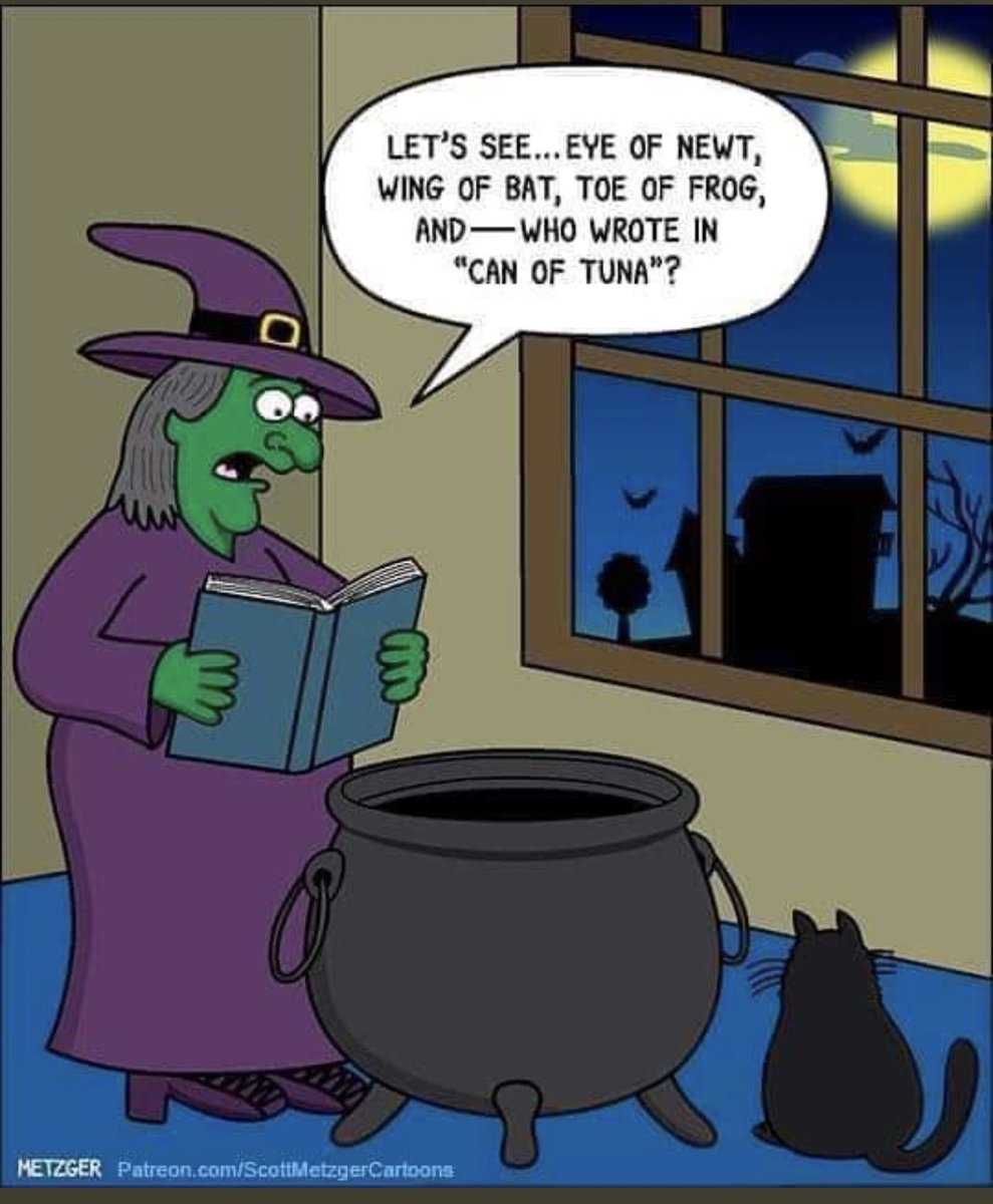 nkotbblockhead2's tweet photo. Caturday edition funnies for friends 😂 #2 @LouDPhillips @AMaria_Delsante @kittychu312 @carolynlawrence @ReamesKw @TrishaCatlett1 @BratLitl @AllyisCuriouser https://t.co/9FUxVesvv7