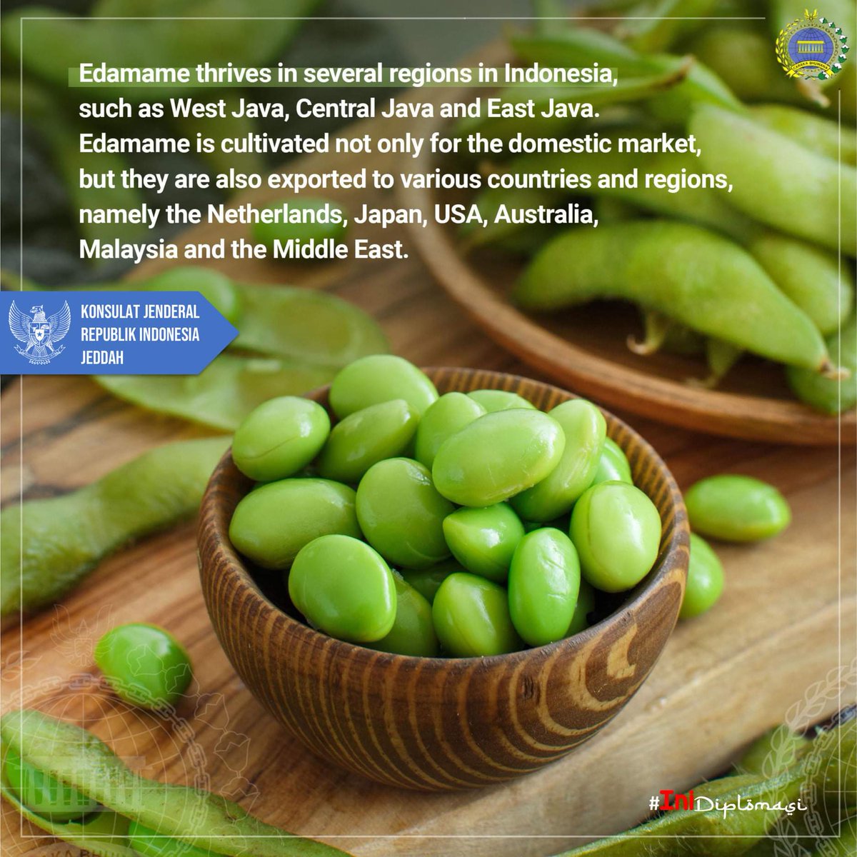 IndonesiaInJED's tweet photo. Edamame, An Increasingly Popular Healthy Snack
.
https://t.co/MHUdpp3ziO
.
Edamame are soybeans that are still in their pods. it tastes delicious contains high protein and antioxidants, making it an increasingly popular snack.
.
@kemlu_ri
@kemendag
#IniDiplomasi
#IndonesianWay https://t.co/9RE9nQ4dAH