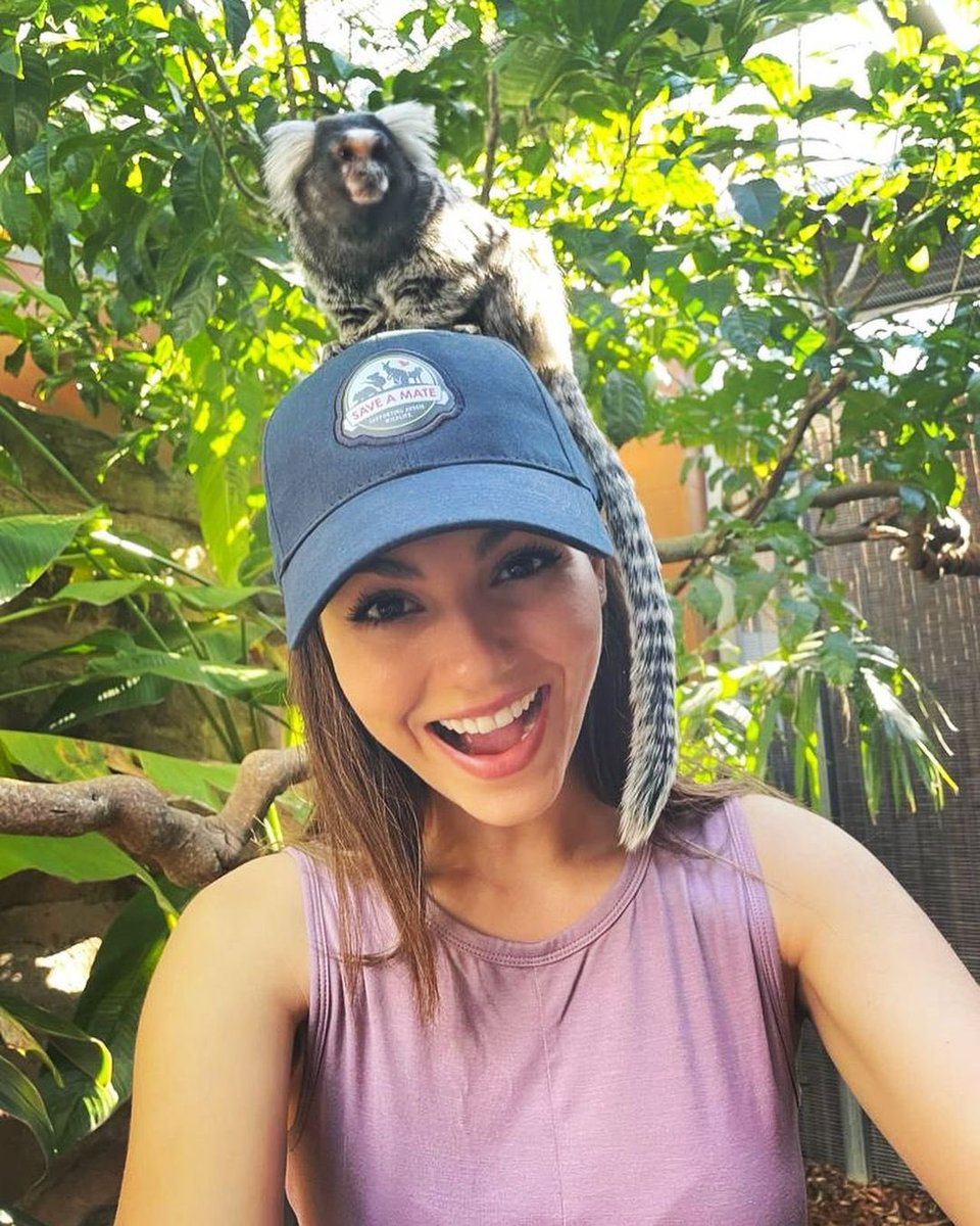VictoriaJustice's tweet photo. Ohhh you thought I was done with the animal pics? Hahaha that’s funny. ;)

That little monkey is a marmoset! The other pics are Aussie things that brought me joy ☺️ Australia, I love you. I’ll miss you. 

I’m so excited for you all to see the movie we worked very hard on! 🇦🇺♥️😘 https://t.co/ODexivuypb