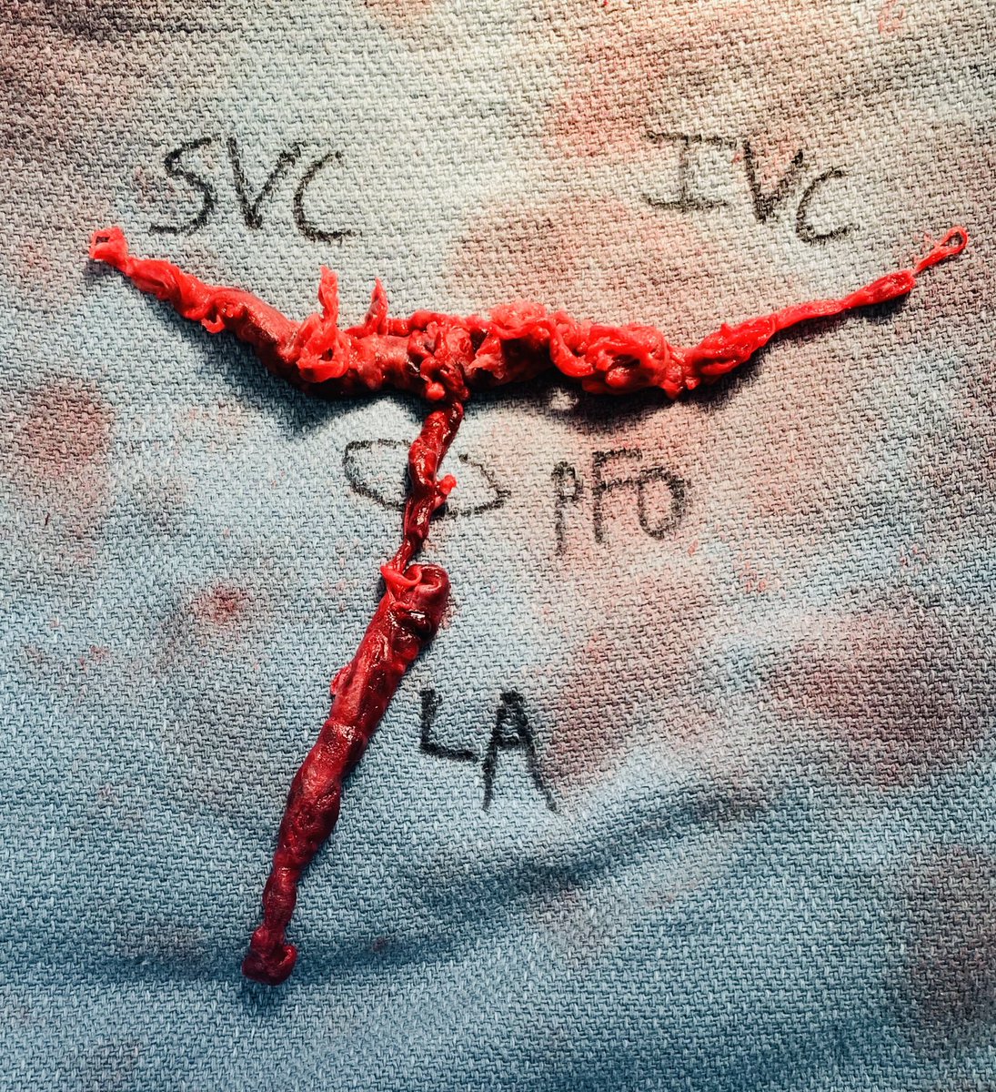 Jordan Hoffman tweet media