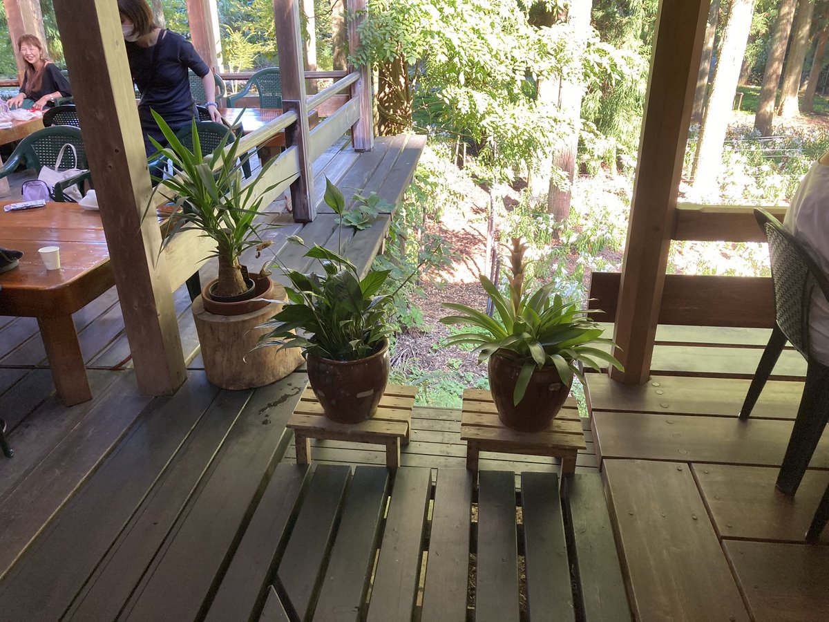 坂井剛志 tweet media