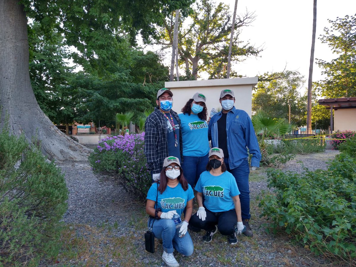 Estudiantes y maestros del grupo ecológico ACTUES participaron hoy en una jornada de recolección de bachas de cigarro y limpieza del parque Jardín Juárez de Hermosillo, sumando esfuerzos en la iniciativa de Cultura Verde A.C

Actuando, Conservando y Transformando.