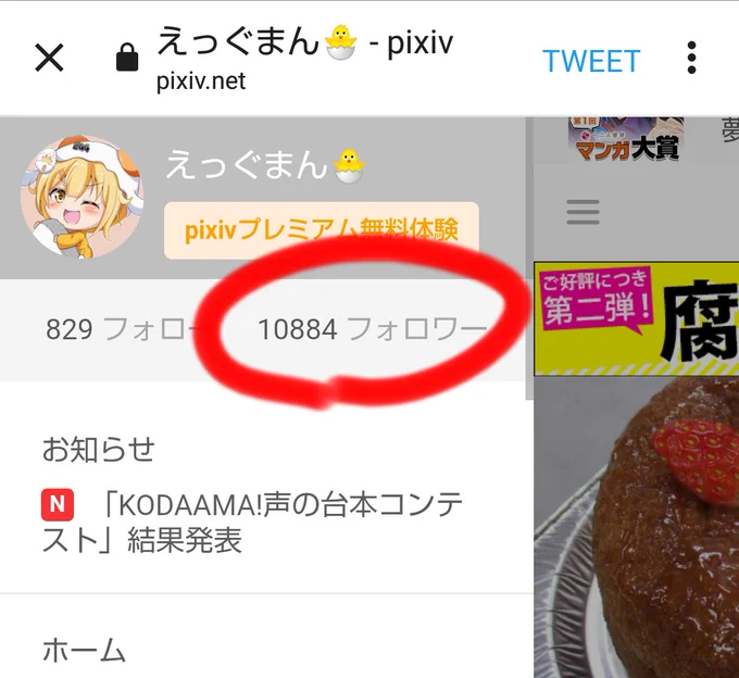 pixivのフォロワー様が1万人になりました😇ありがとうございます!_(._.)_ 