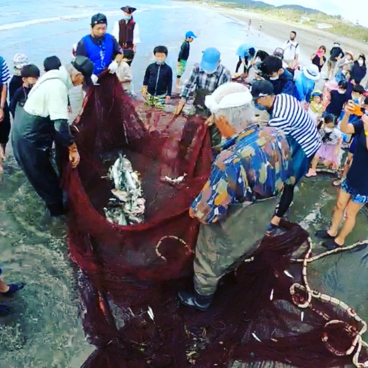 Blue_Action's tweet photo. 地引き網!ブリ、カンパチ、シマアジ、コチ、カワハギ、アジ、イワシ、コノシロ、マナガツオ、シタビラメ...
魚種豊富🐟
豊かな海だ🤩
#海賊王と海の教室 #海洋連盟 #iplanner #岩井海岸 #地引き網 https://t.co/S062ZYkEQt