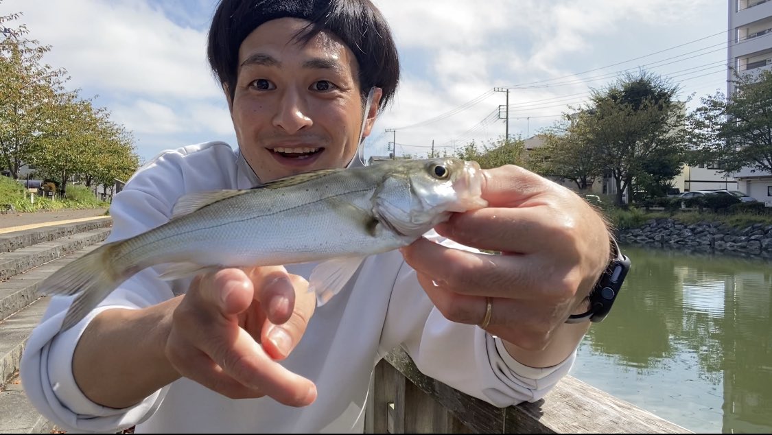 新川でもセイゴサイズのシーバスが釣れるようになってきました😃

秋ですね🍁

#お魚ちゃんねるエイジ
#シーバス