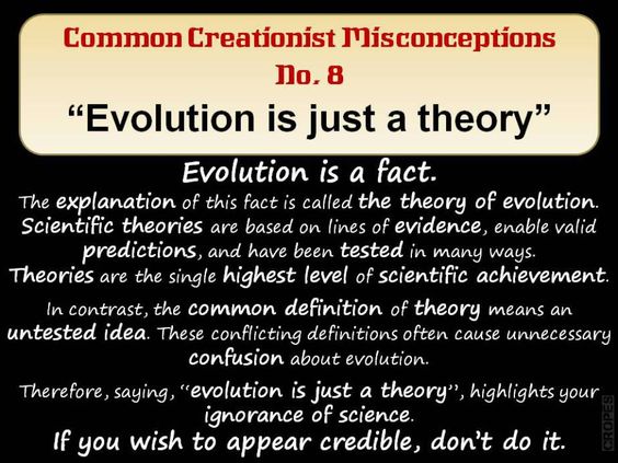 pinkheretic's tweet photo. "Evolution is 'just' a theory". #evolution #atheist @_CROPES_ https://t.co/3ebf4ZCKIl