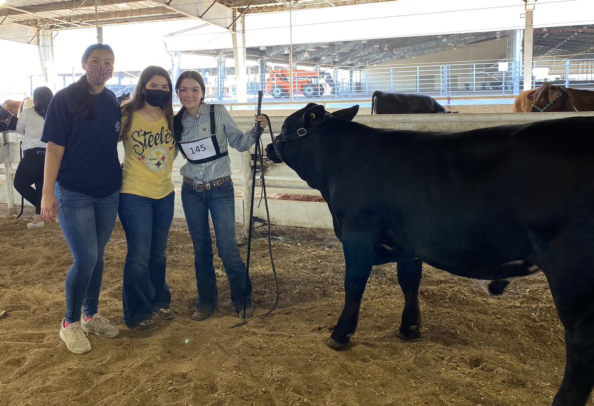 FfaMemorial's tweet photo. @FfaMemorial cattle team had a great day at Rattler Roundup today. 1 student showed placing 2nd in both rings….other cattle kids came to support. @McAllenISDCTE @McAllenISD @McAllenMemorial https://t.co/FZyCNmbgLC