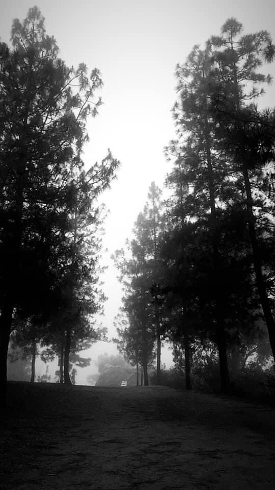 Jen77_r's tweet photo. White &amp; Black pictures of 21 days in the mountain ⛰ https://t.co/BLfAL6P0mB