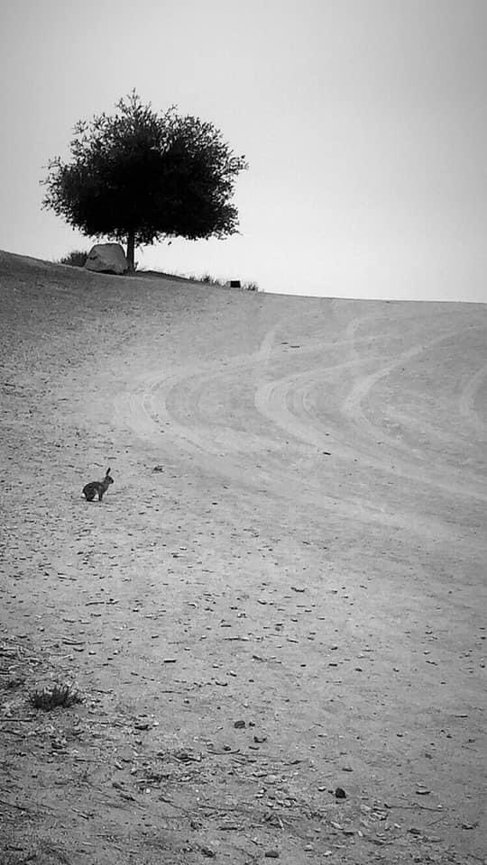 Jen77_r's tweet photo. White &amp; Black pictures of 21 days in the mountain ⛰ https://t.co/9H6NtH7iLh