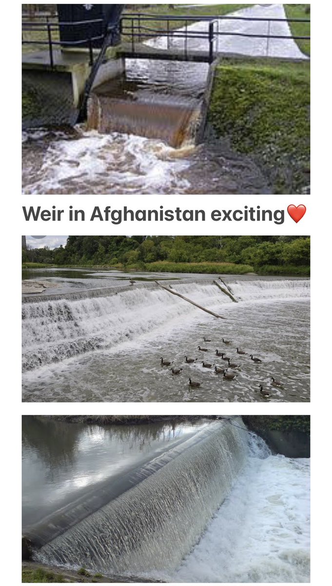 rapportheworld's tweet photo. @Refugees So beautiful🌲🌳🌲🌳👏👏👏
 
Japanese NGOs also make efforts in Afghanistan and the Taliban support their assistance.⬇️ https://t.co/cP56plU5pC