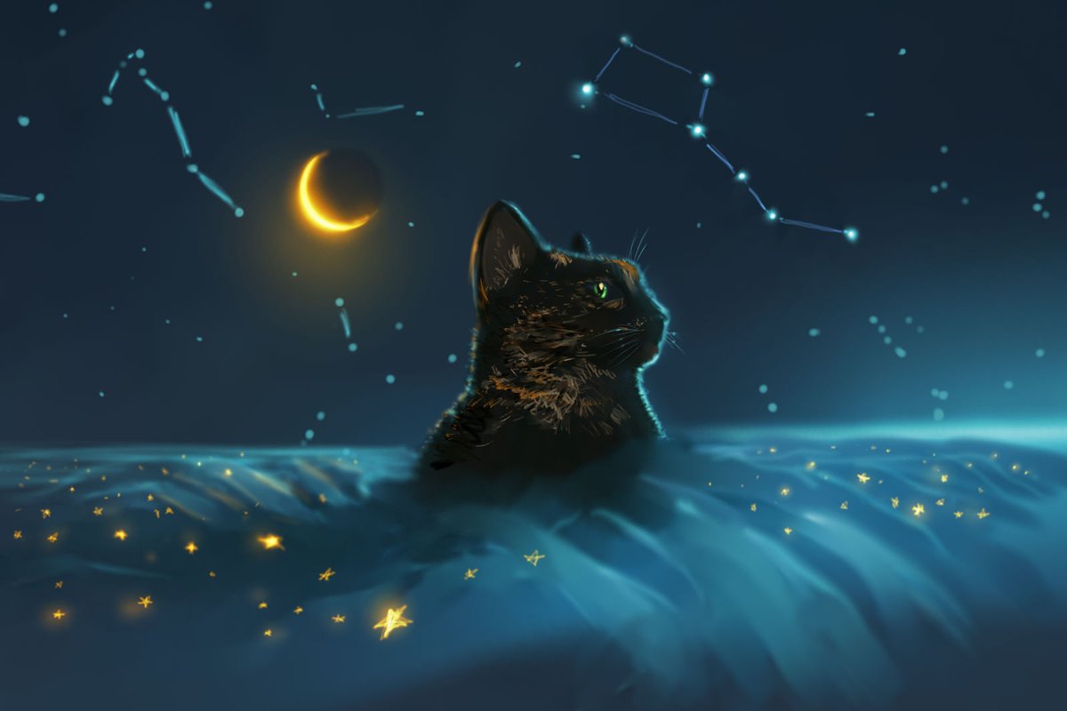 DeviantArt's tweet photo. 🌃

🎨 @AAlromeadheen: https://t.co/h8ldo443wv 
#CatArt #Cosmos https://t.co/2lW2Jg2cvL