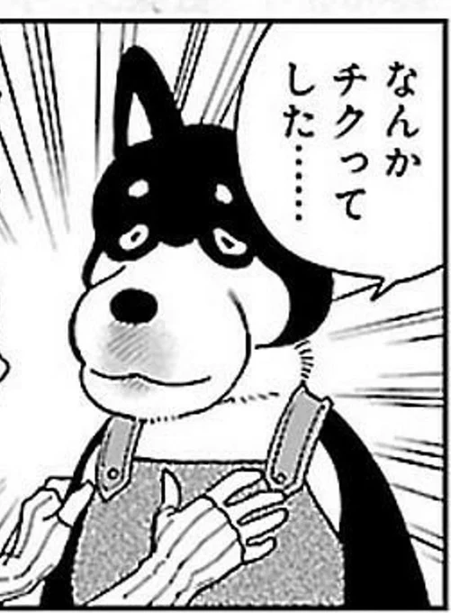 この子はダン飯で1番かわいい子 