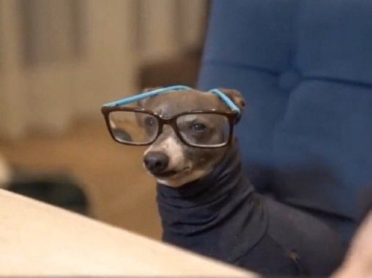 samepicofkermit's tweet photo. Day 994: same picture of kermit every day https://t.co/G0DNRAi3ti
