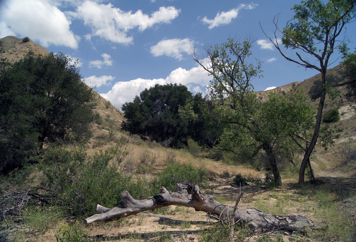 JoshNewmanCA's tweet photo. TY to @CAgovernor for signing SB 266 into law today!

This bill will expand #ChinoHillsStatePark by 1,500 acres, meaning more protected open space for wildlife and the public to enjoy!

See for yourself 👇🏼 https://t.co/Stb0EbFo14