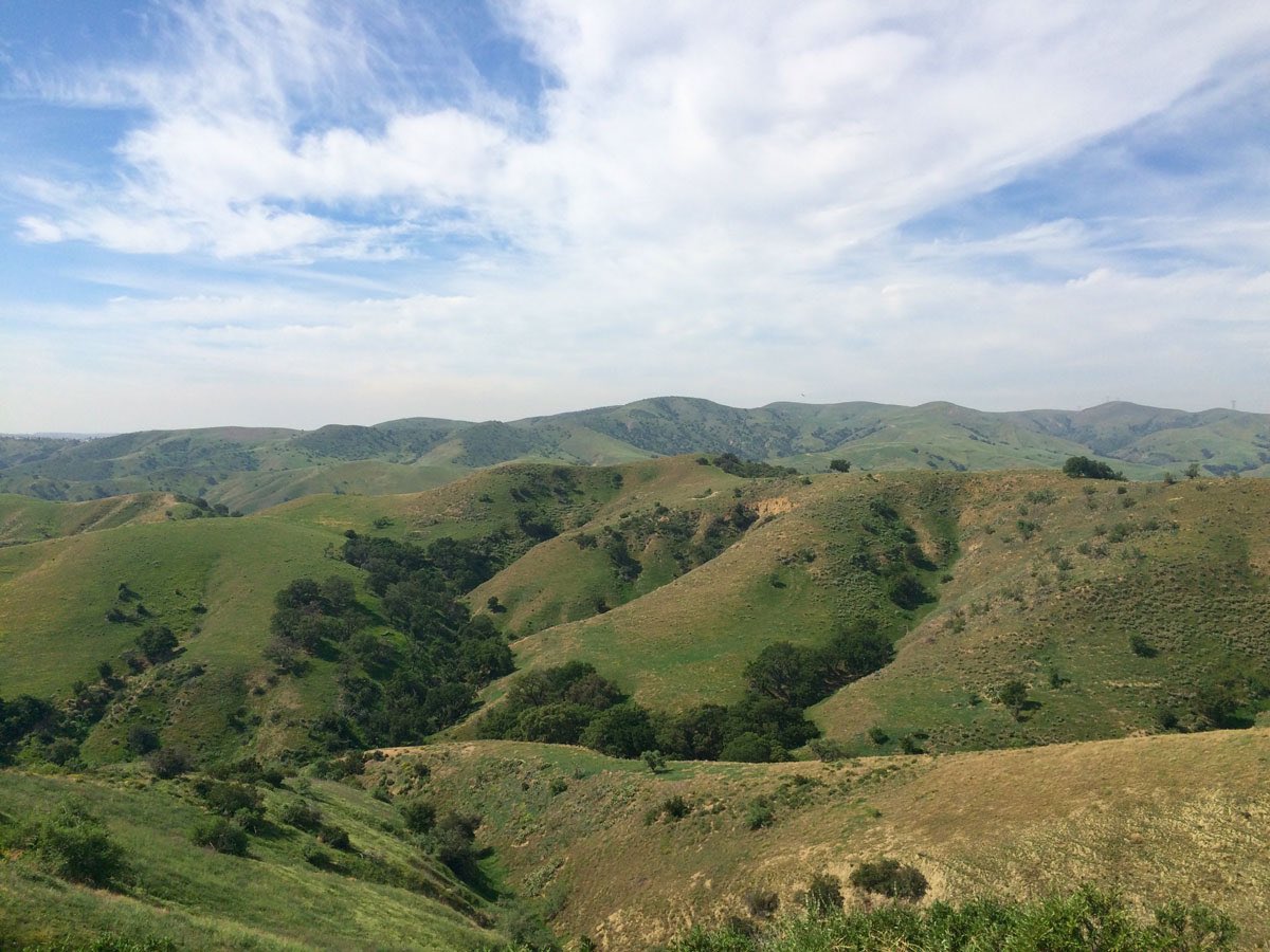 JoshNewmanCA's tweet photo. TY to @CAgovernor for signing SB 266 into law today!

This bill will expand #ChinoHillsStatePark by 1,500 acres, meaning more protected open space for wildlife and the public to enjoy!

See for yourself 👇🏼 https://t.co/Stb0EbFo14