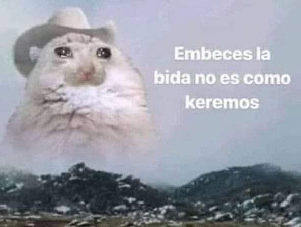 AnnethD_'s tweet photo. @luz_kaa_ Yo al ver Este Twitt Sabiendo que la suerte no wsta de mi lado: https://t.co/PDaE4yGdrx