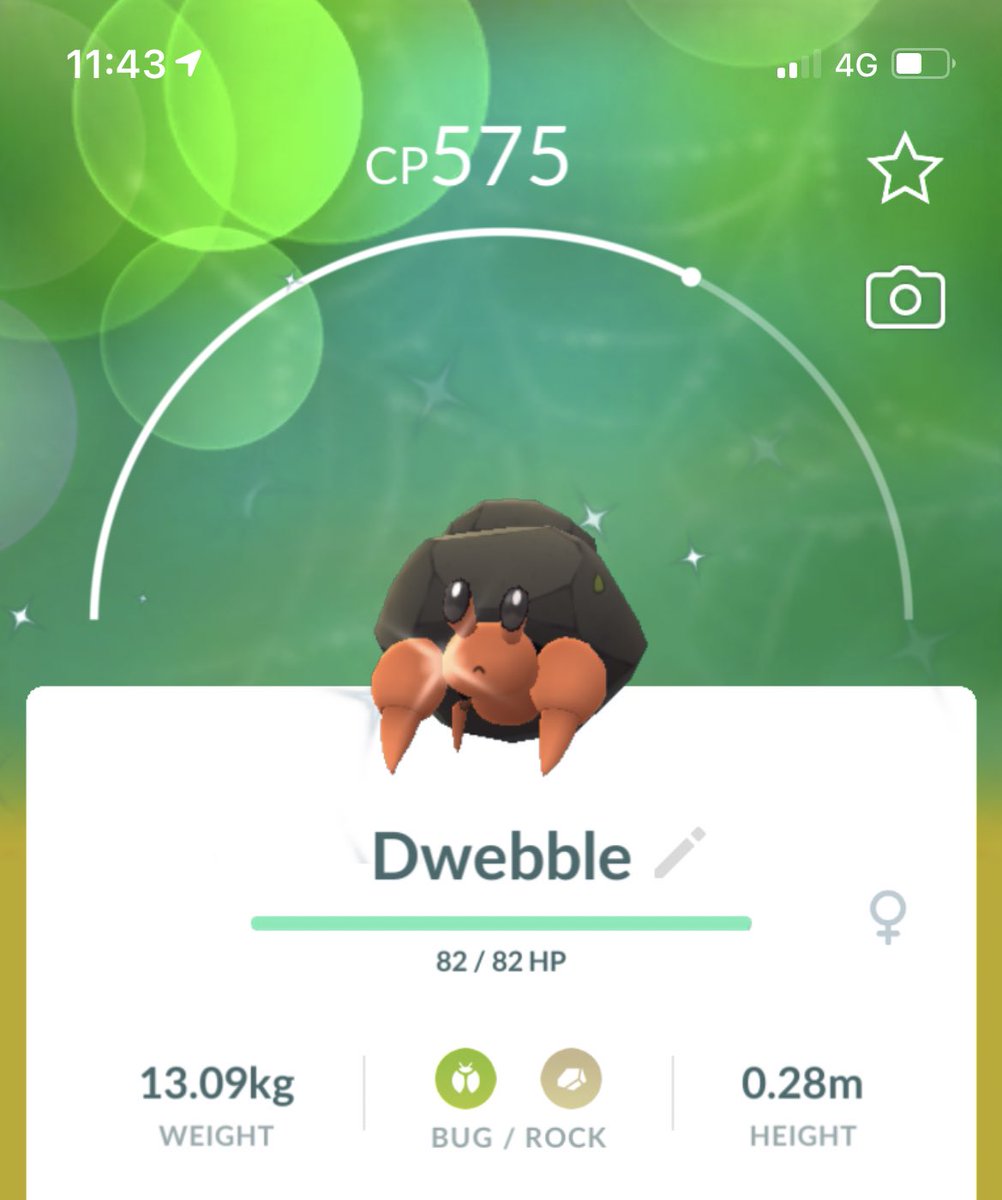 Shinyshanaya's tweet photo. #2 shiny Dwebble from this event ✨✨this one caught by Gotcha #PokemonGo #ShinyCheck #gotcha #ShinyDwebble #LetsGo https://t.co/VyW6cJQ6Ce