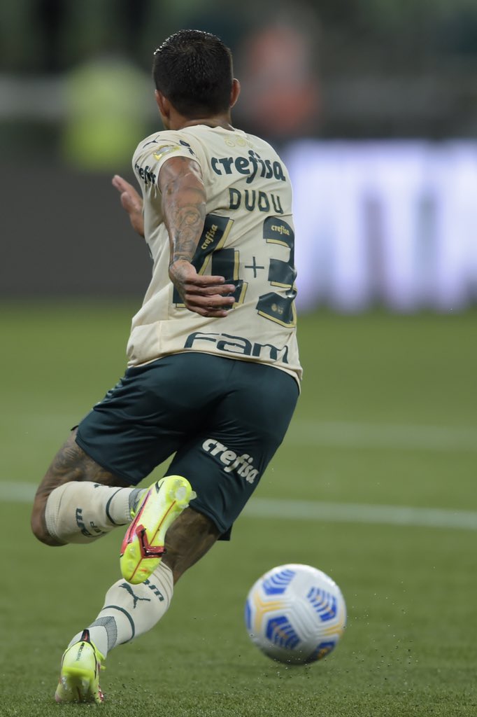 nubankparque's tweet photo. A sequência do gol de Dudu ⚽️
📷 @Staff_images
#AllianzParque #DeVoltaParaCasa https://t.co/BDmb0neSRh