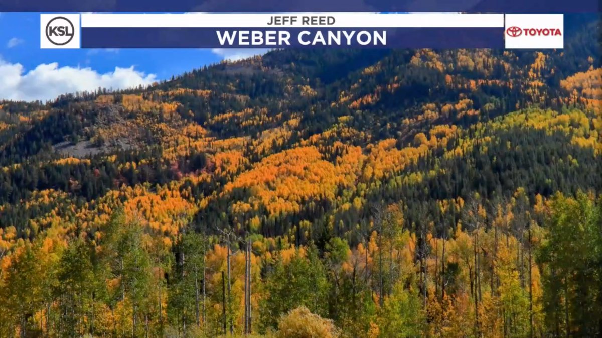 KSL 5 TV tweet media