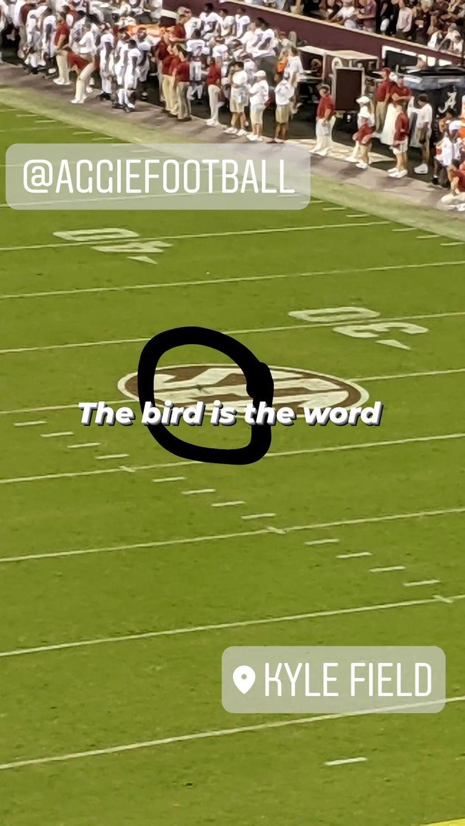 Alisha Johnson tweet media