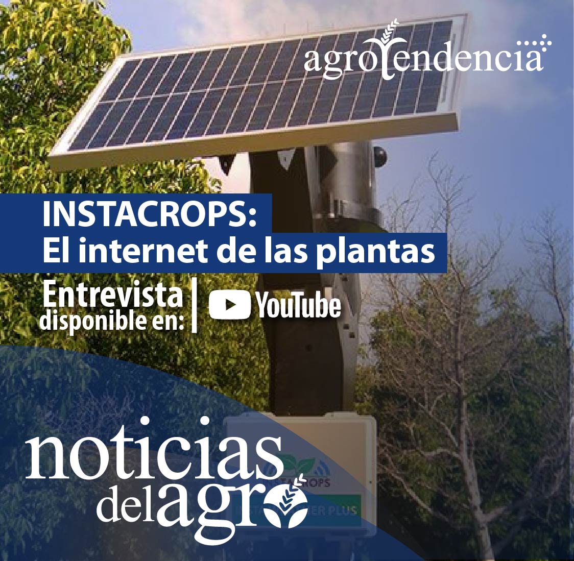 agrotendencia's tweet photo. Instacrops, también conocido como el internet de las plantas, es una iniciativa que mediante Inteligencia Artificial y Big Data entrega un conjunto de soluciones para ayudar a los agricultores a producir alimentos de mejor manera.⬇️
+info en: https://t.co/NWqqieT1T7
#instacrops https://t.co/Ty5kyRsGwa