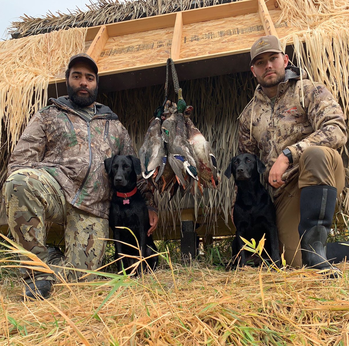 stsody's tweet photo. Steve Sody and ⁦@Blaylock77⁩ gettin after some early season green heads @whiskeycreek https://t.co/axb9RDq3n7