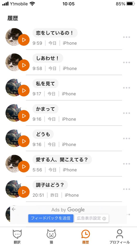 ameoman's tweet photo. ふふふ、とりあえず2匹とも楽しく生活出来てるみたい😽（流行りのアプリによれば） https://t.co/uHSBmC0hsC