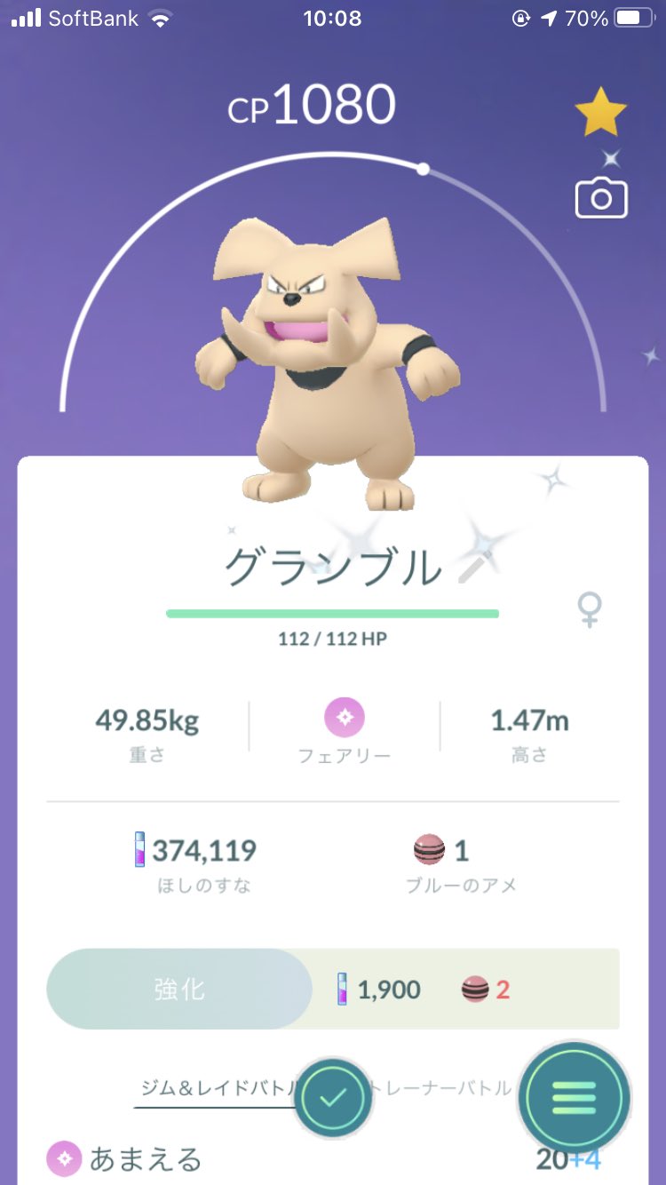 ポケモンgo専用垢 Niito125 Twitter