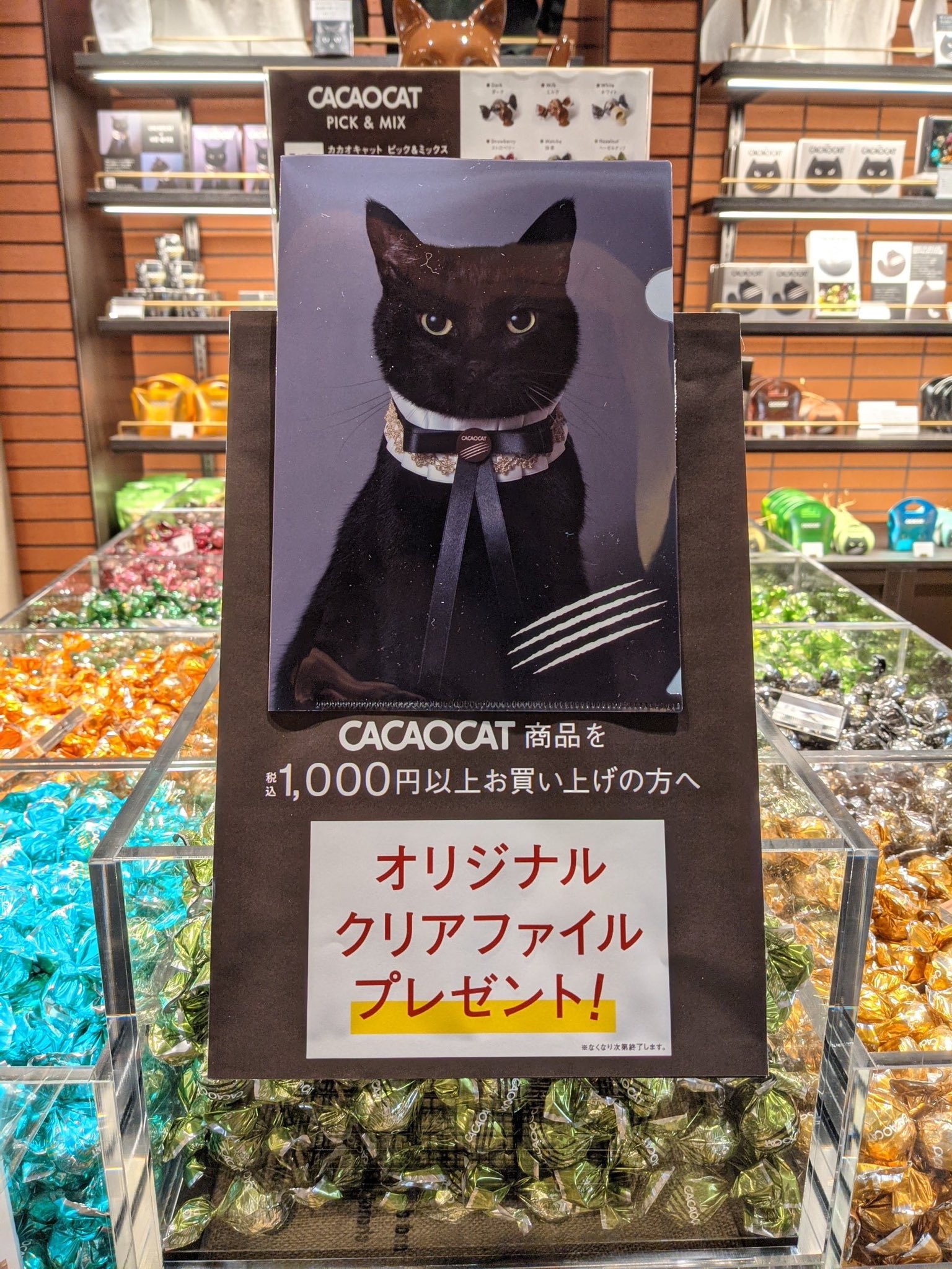 CACAOCAT🐈⬛こねこのこねこねクッキー🐾/made in HOKKAIDO/DADACA on