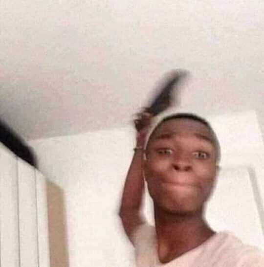 #Calamidade 🦎🧁 tweet media