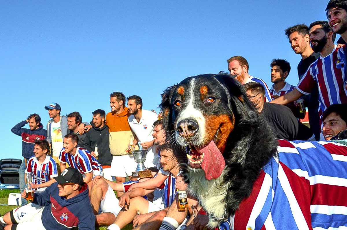 La foto del día en <a href="/LIGA_MVD/">LIGA MVD</a> 🫂📷🐶