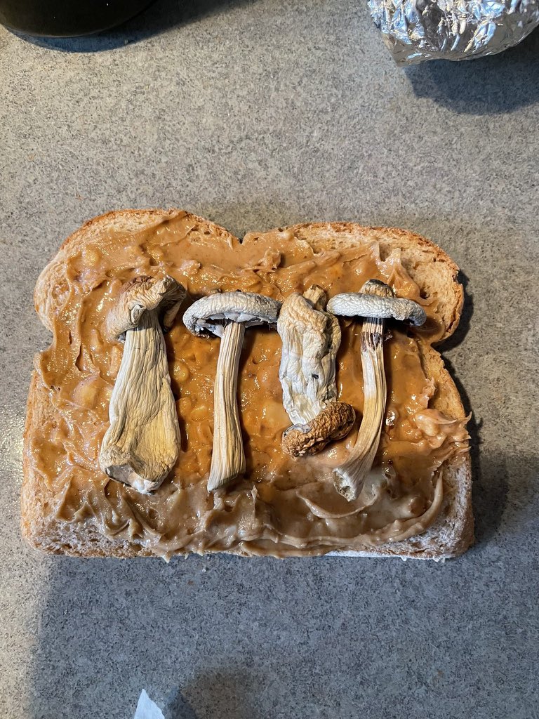 xoTillthenxo.｡♡ (@xoTillthenxo) Twitter