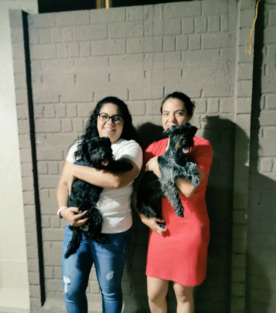 alitalinda2789's tweet photo. Hoy reunión de amigas!!
Las negritas y las mamás son las mejores amigas ❤️ #Bigui #Asha #Adry #Ale https://t.co/2G0ozxQk0W