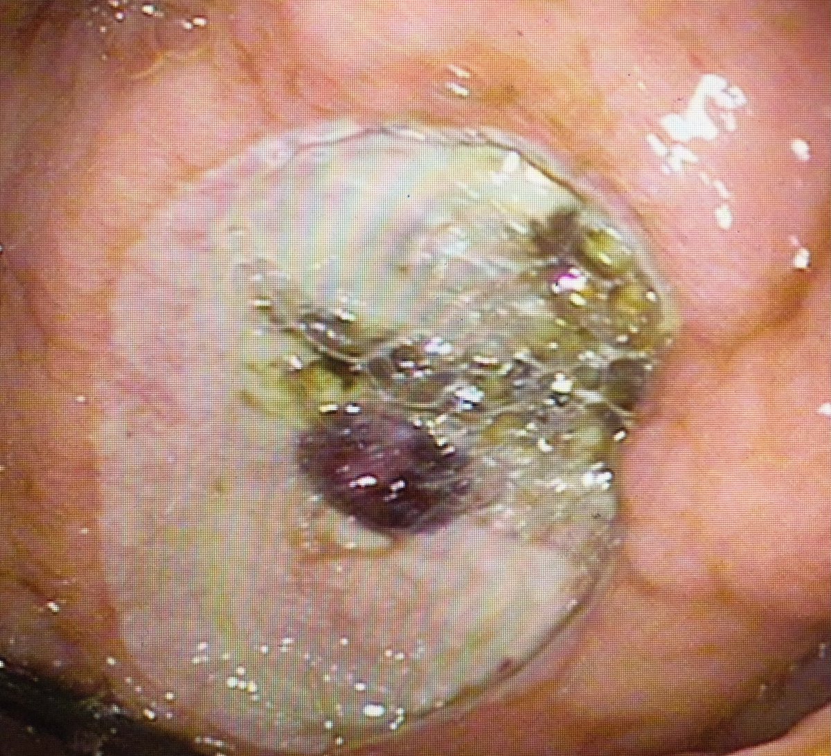 Nha T. Duong tweet media