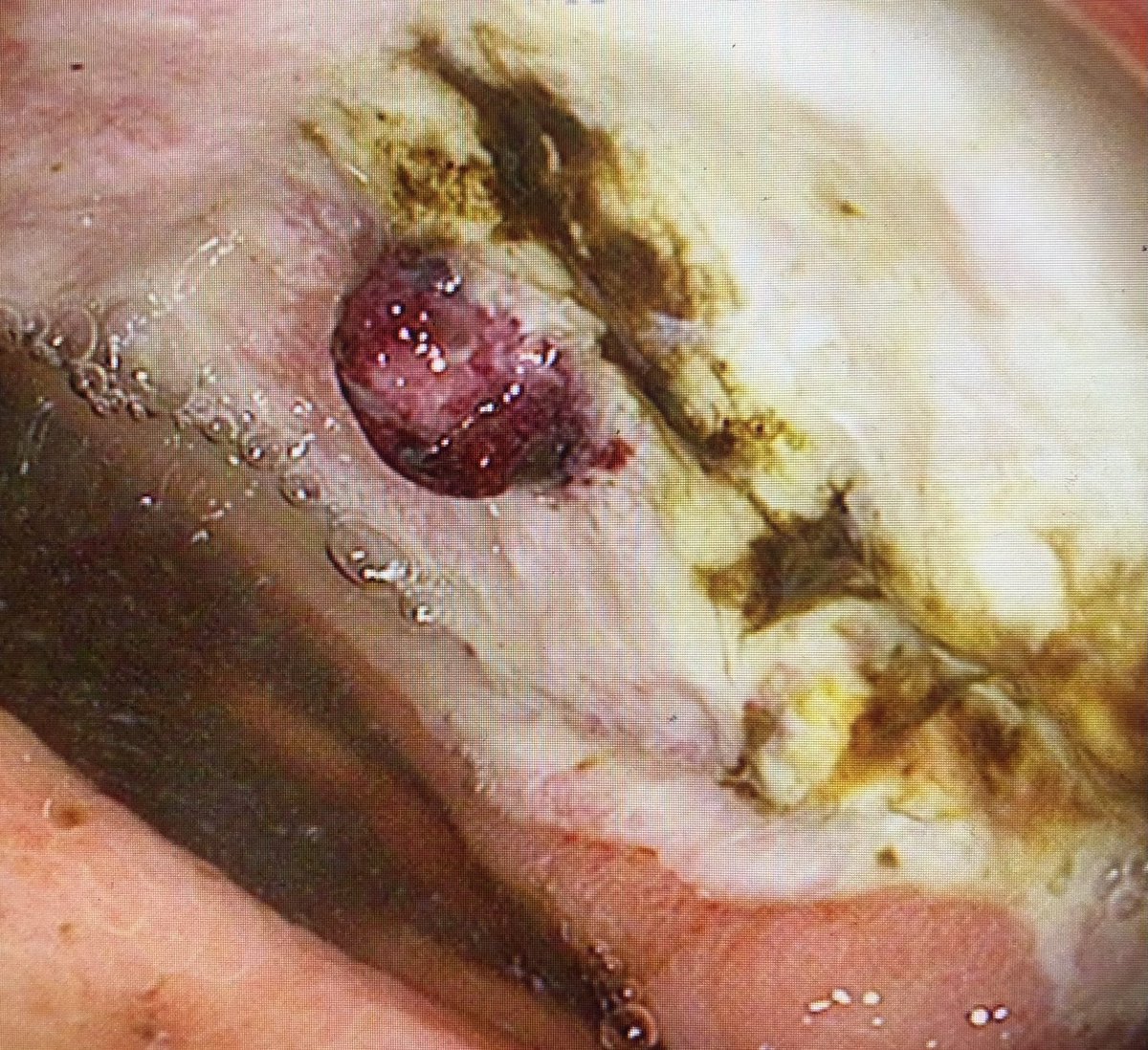 Nha T. Duong tweet media