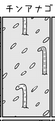いいでしょ、チンアナゴ。柄も1つじゃない。 